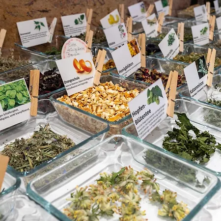 阿尔卑罗斯自然酒店 酒店