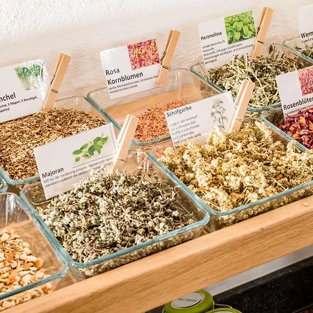 阿尔卑罗斯自然酒店 酒店 4*